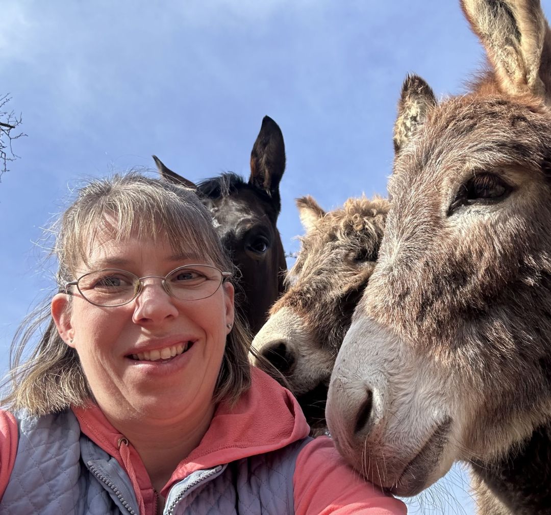 Portrait Sabine Ostermayer